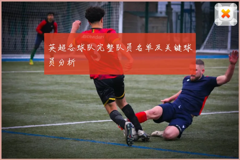 英超各球队完整队员名单及关键球员分析