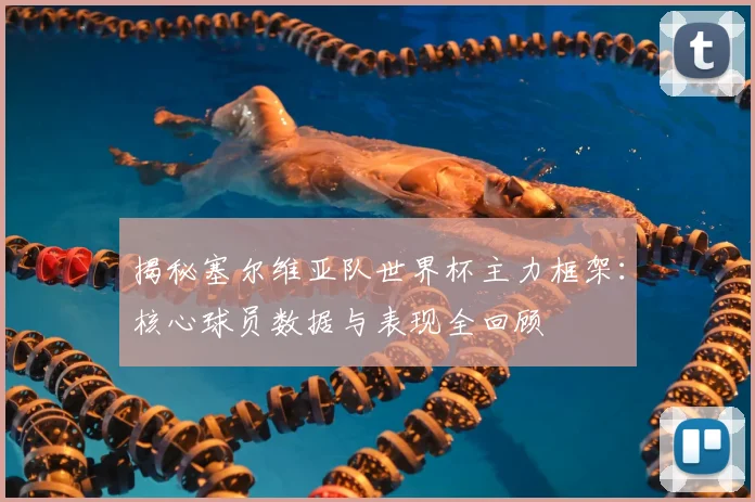 揭秘塞尔维亚队世界杯主力框架：核心球员数据与表现全回顾