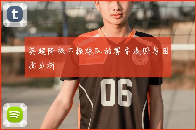 英超降级不振球队的赛季表现与困境分析