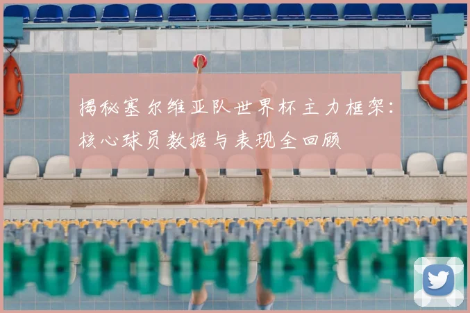 揭秘塞尔维亚队世界杯主力框架：核心球员数据与表现全回顾